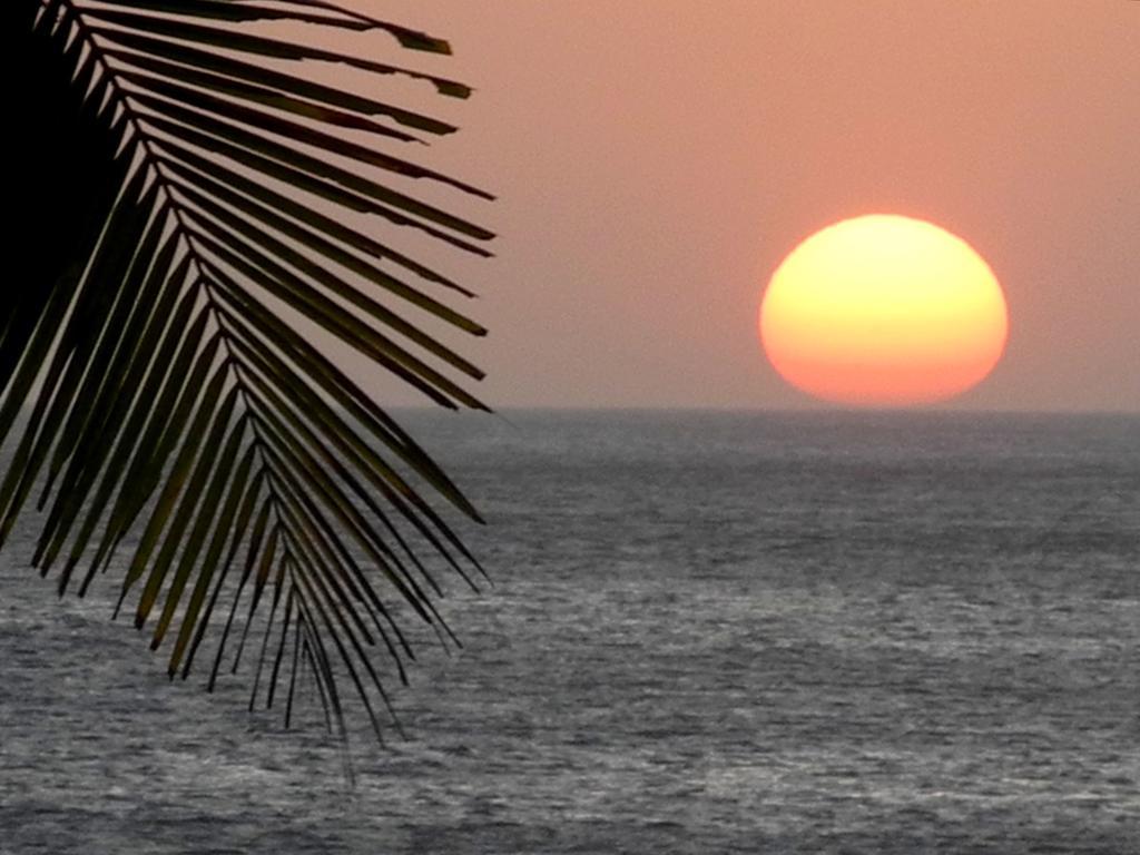 Casas Pelicano Playa Junquillal Zewnętrze zdjęcie